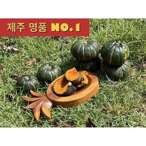 소장가치 100% 미니밤호박 리뷰