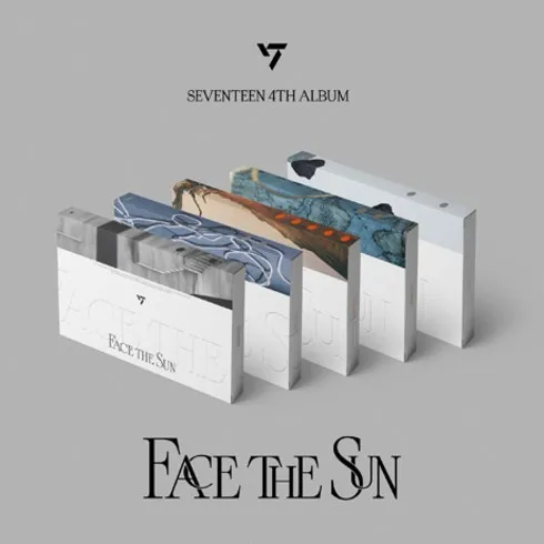 매일 쓰는 세븐틴facethesun 적극추천