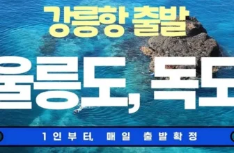 모던한 울릉도배편 적극추천