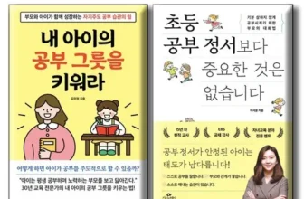 실용적인 초등공부정서보다 리뷰