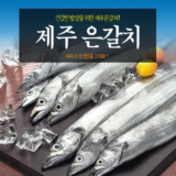 화사한 제주 은갈치 150g30미 후기